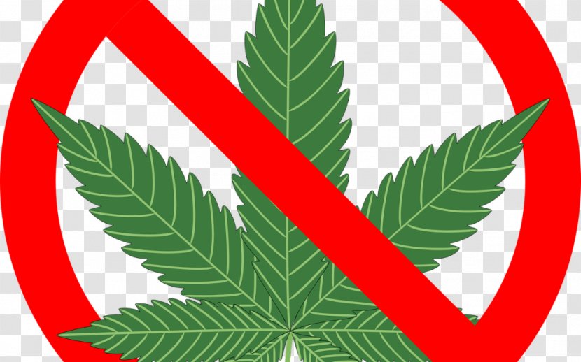 War On Drugs Medical Cannabis Recreational Drug Use - Sativa Transparent PNG