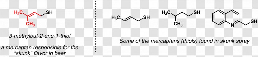 Skunk Chemistry Odor Molecule Aldehyde - Flower Transparent PNG