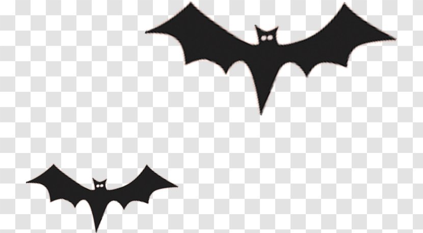 Bat - White - Festival Transparent PNG