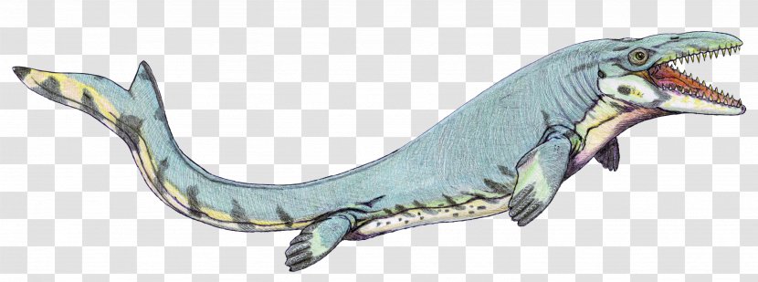 Mosasaurus Dinosaur Reptile Pteranodon Lythronax Transparent PNG