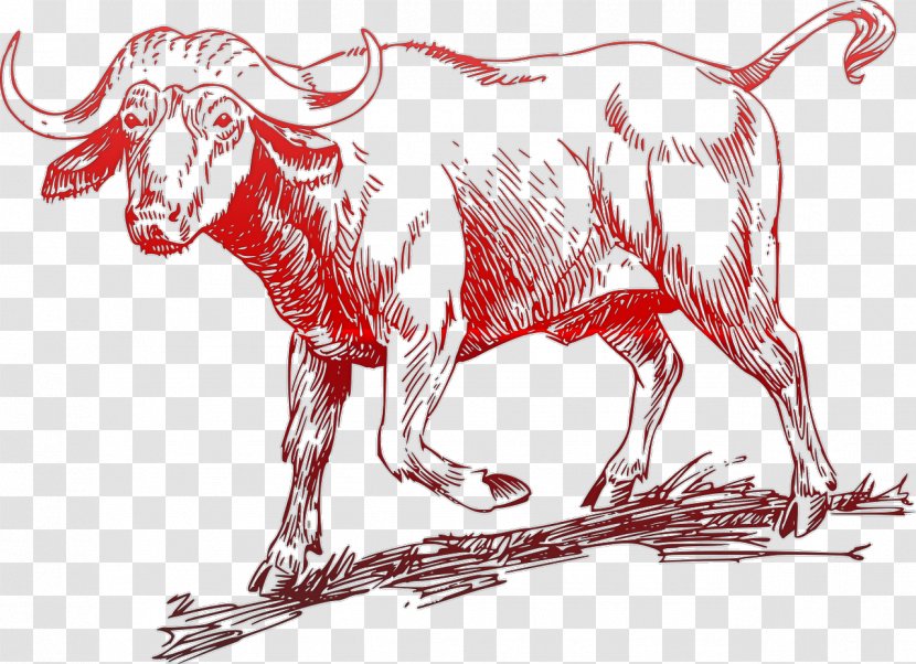 Ox Water Buffalo Goat English Longhorn Clip Art - Mammal Transparent PNG
