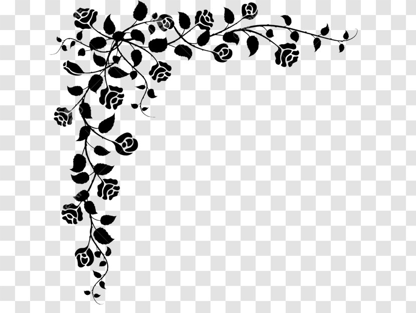 Floral Design Black And White Drawing Clip Art - Organism Transparent PNG