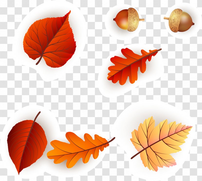 Leaf Orange - Continental Colorful Fresh Maple Pattern Vector Beautiful Transparent PNG