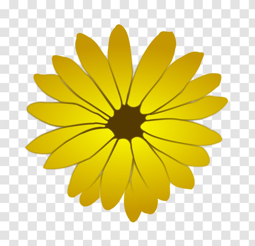 Flower Drawing Clip Art - Common Daisy Transparent PNG