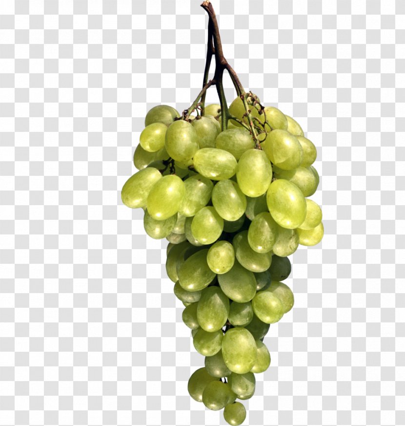 Sultana Grapevines Berry - Grapevine Family - Creative Grape Transparent PNG