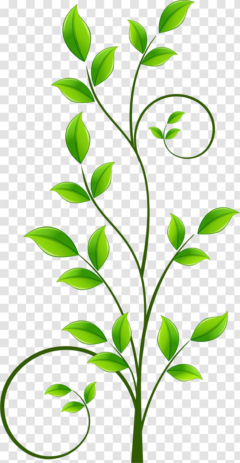 Download Illustration - Flora - Green Leaf Pattern Transparent PNG