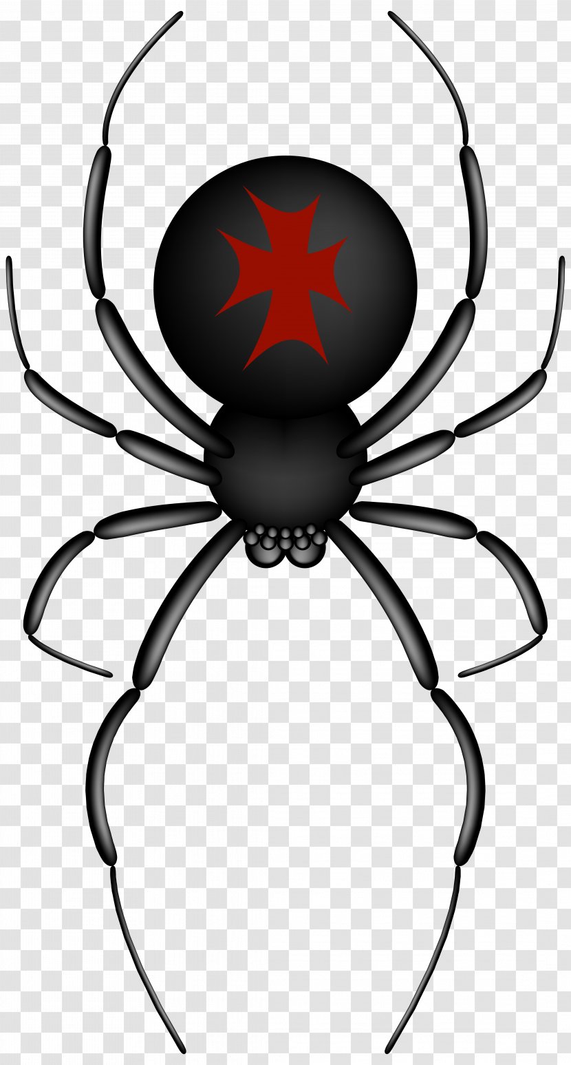 Spider-Man Clip Art - Widow Spiders - Crusader Spider Transparent Image Transparent PNG