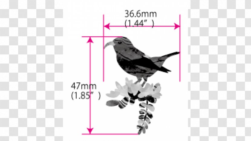 Sticker Hawaiian Honeycreeper Bird Decal Text - Adhesive Transparent PNG