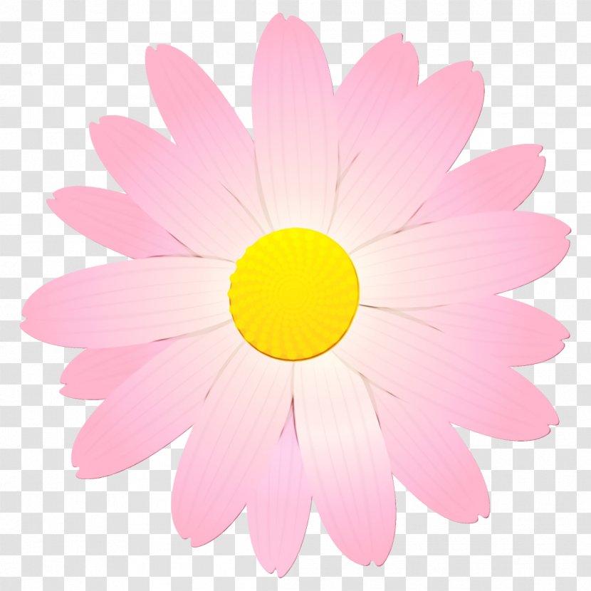 Daisy - Gerbera - Sky Chamomile Transparent PNG