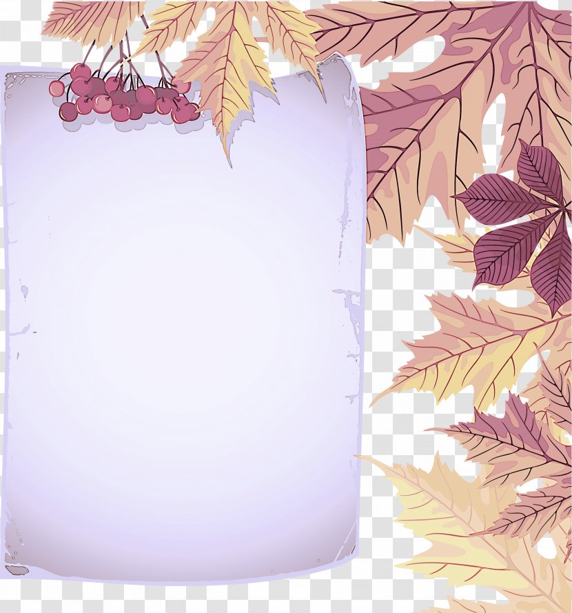 Maple Leaf - Plant Transparent PNG