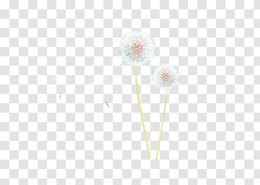 Download Dandelion White Plant - Petal Transparent PNG
