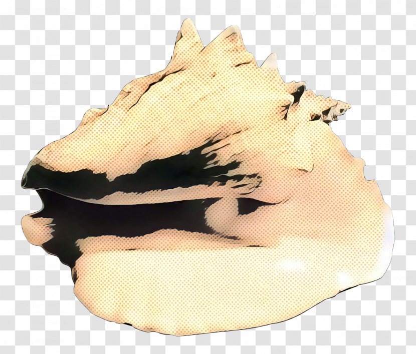 Seashell Beige - Jaw Transparent PNG