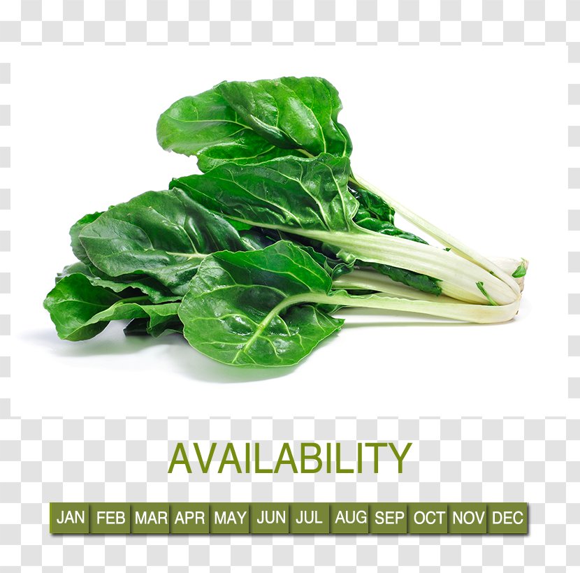 Leaf Vegetable Chard Fruit Green Shop - Superfood Transparent PNG