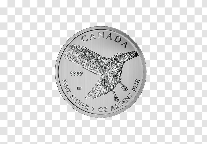 Silver Coin Royal Canadian Mint Maple Leaf - American Eagle Transparent PNG