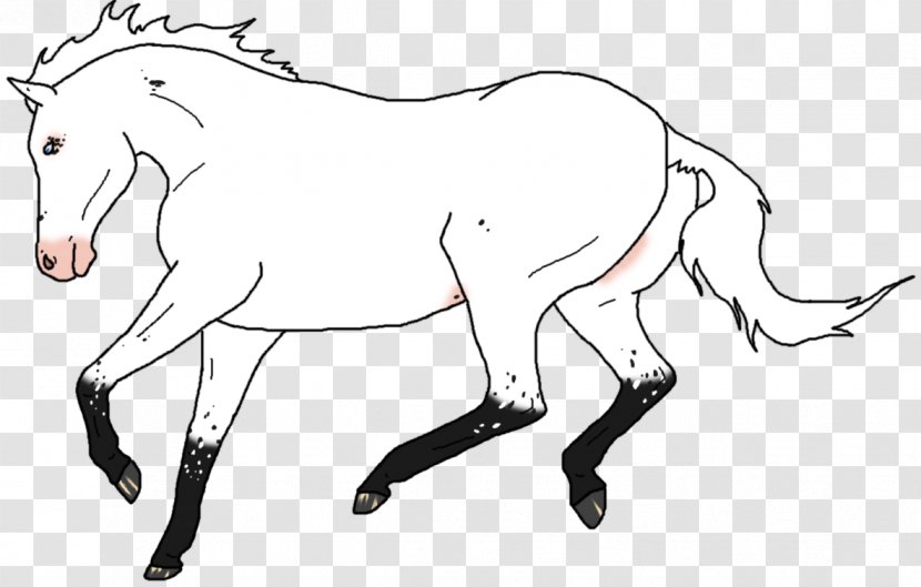 Mule Foal Stallion Colt Mare - Horse Like Mammal - Snow Drift Transparent PNG