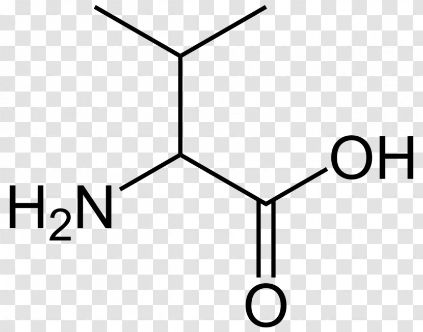 Alanine Amino Acid Aspartic Proline Cysteine - Symmetry - Simple Transparent PNG