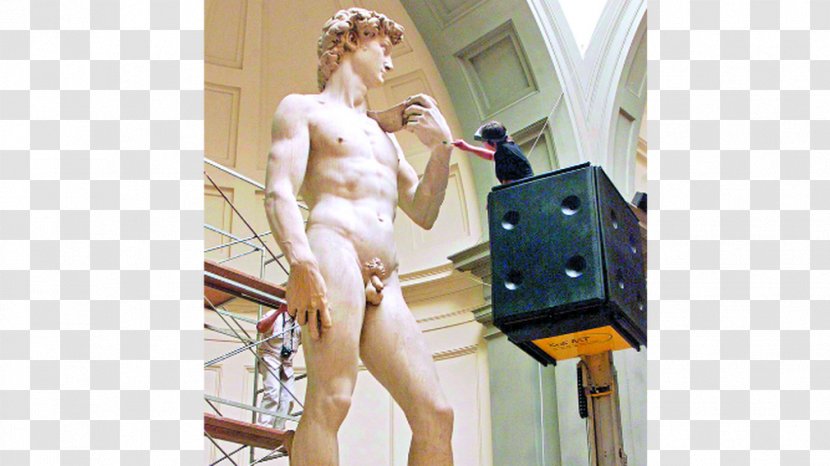 David Accademia Di Belle Arti Firenze Statue The Mannequin - Tree - Bolillo Transparent PNG