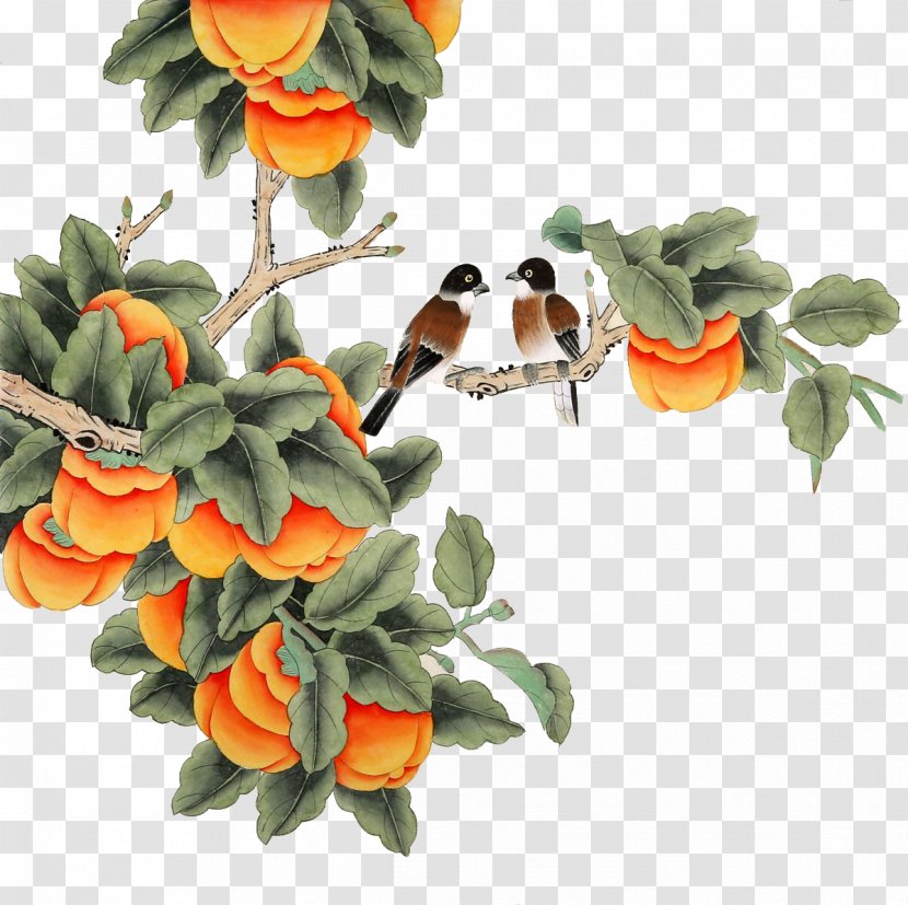Japanese Persimmon Chinese Painting Gongbi - Floral Design - Ripe Transparent PNG