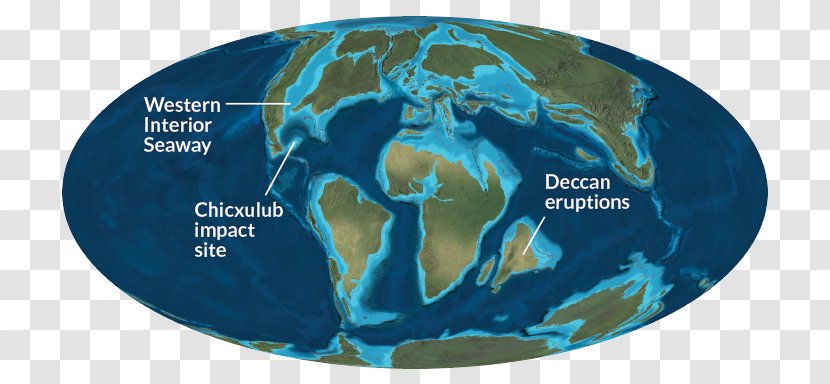 /m/02j71 Earth Organism - World - Chicxulub Crater Transparent PNG