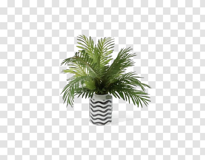 Palm Tree - Wet Ink - Woody Plant Flower Transparent PNG