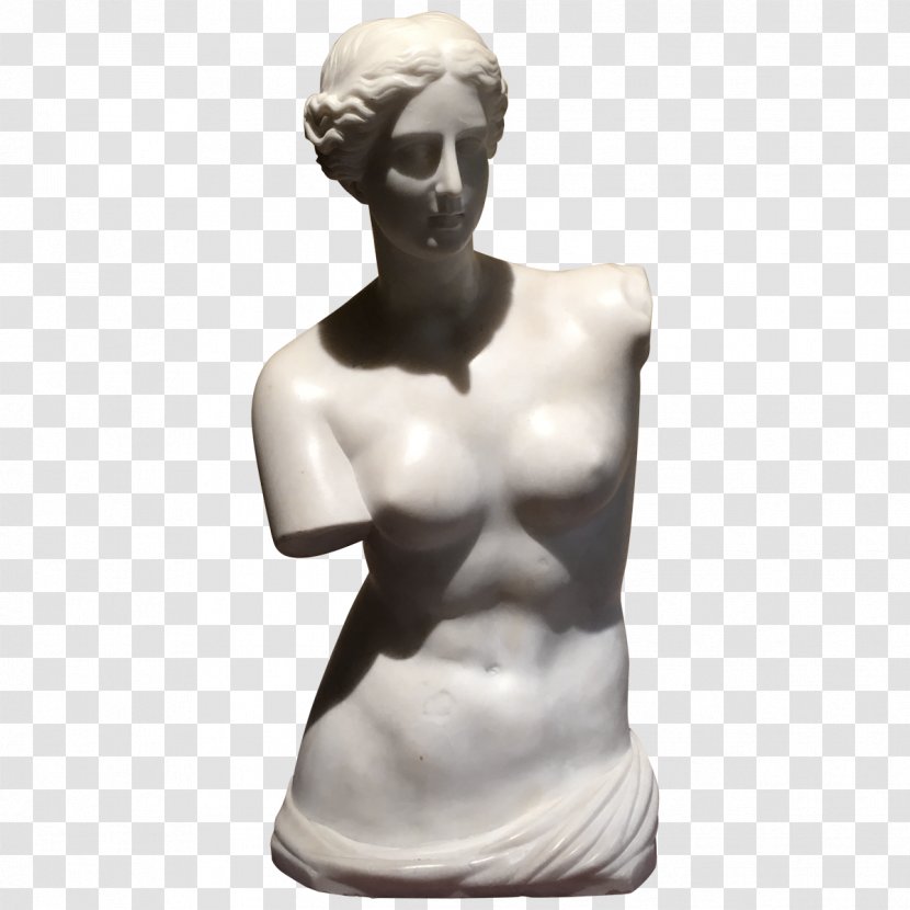 Marble Bust Sculpture Statue Shoulder - Cartoon - Flower Transparent PNG