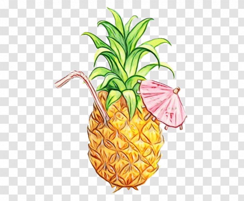 Watercolor Plant - Pineapple - Drawing Poales Transparent PNG