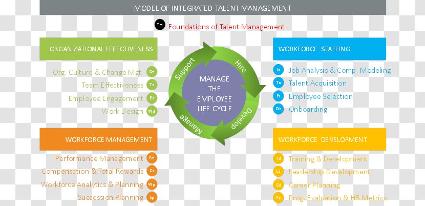 Talent Management Organization Leadership Employee Engagement - Manager Transparent PNG
