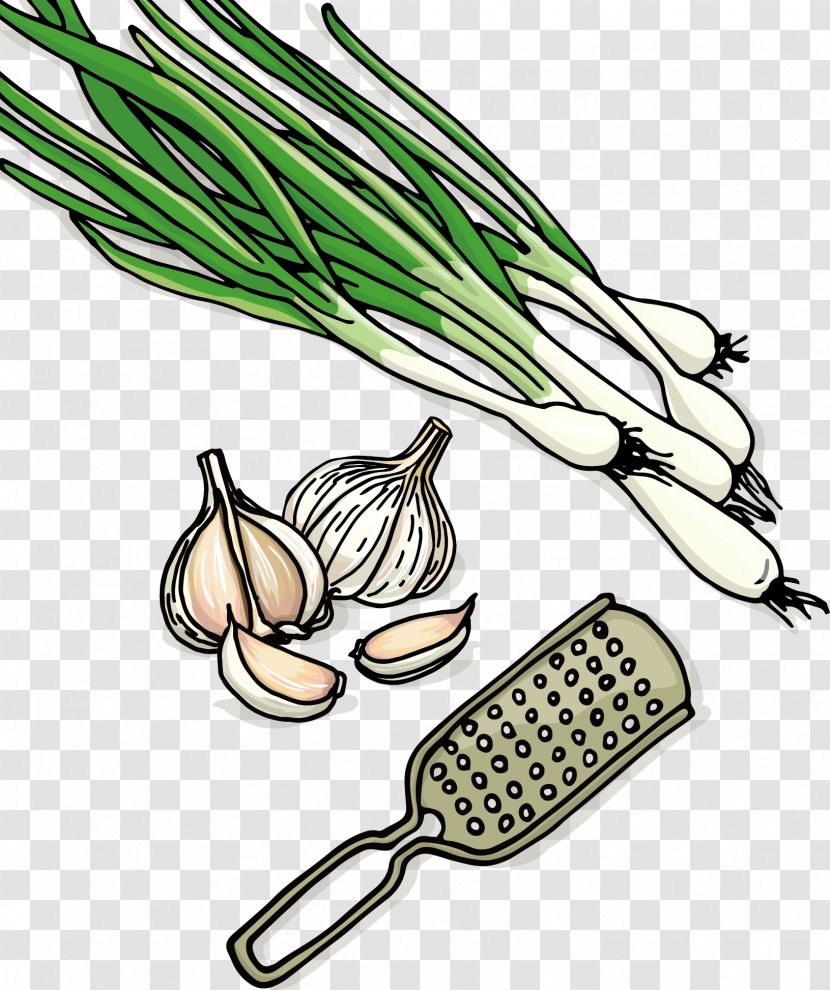 Vegetable Garlic - Allium Fistulosum - Breaking The Transparent PNG