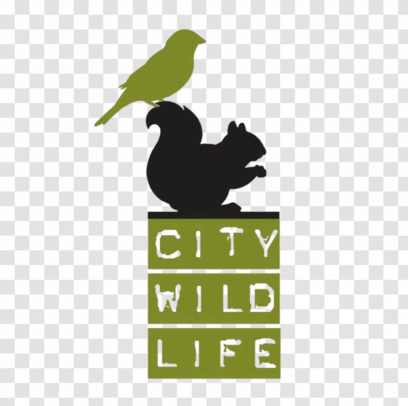 City Wildlife Inc 11th Street Bridge Park Urban Animal - Beak - Bird Transparent PNG