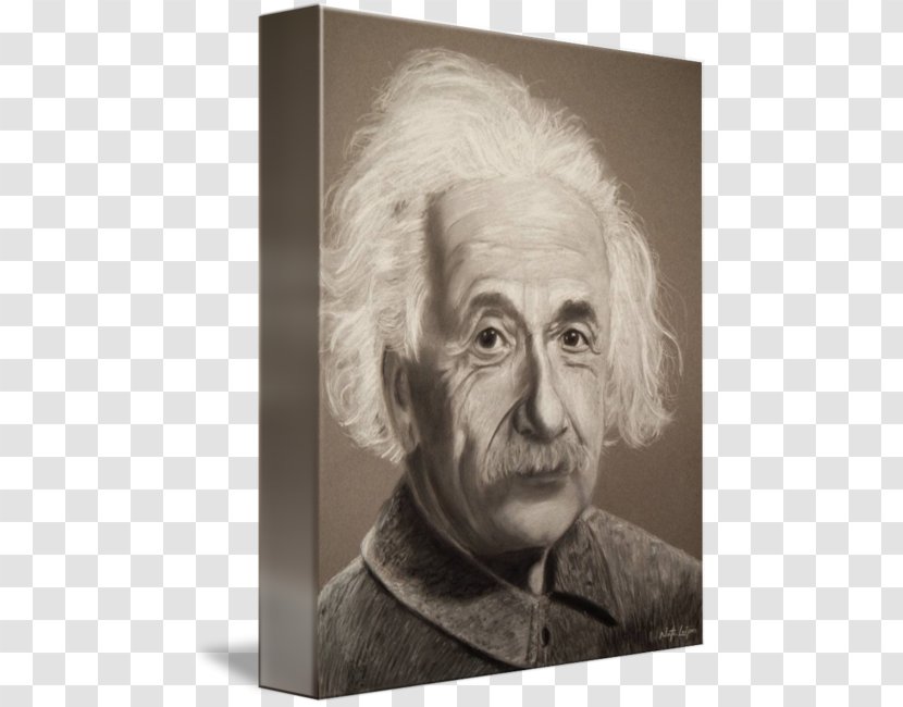 Albert Einstein Gallery Wrap Portrait Nose Canvas - Einstien Transparent PNG