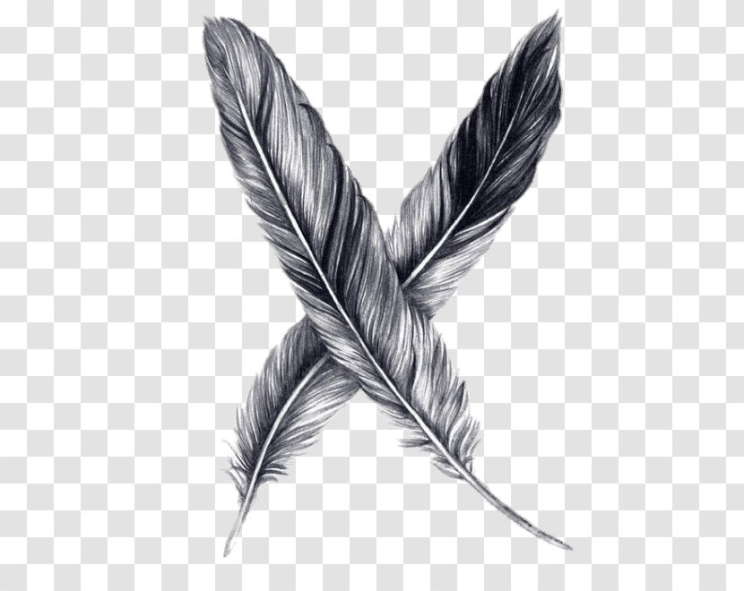 Drawing Feather Pencil Sketch - Quill Transparent PNG