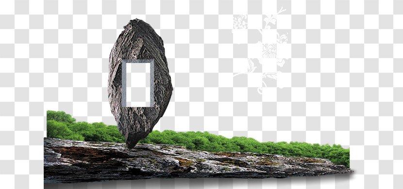 Vegetation - Grass - Stone Mountain Transparent PNG