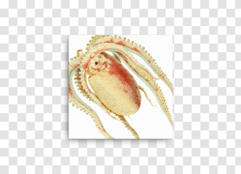 Dungeness Crab Forio Giclée - Organism Transparent PNG
