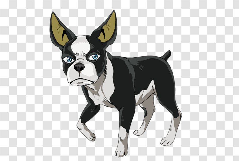 Boston Terrier Dog Breed Non-sporting Group (dog) Snout - BOSTON TERRIER Transparent PNG