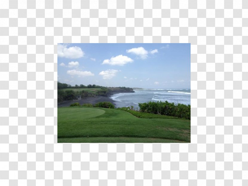 Golf Clubs Land Lot Inlet Lawn - Grass - Bali Indonesia Transparent PNG