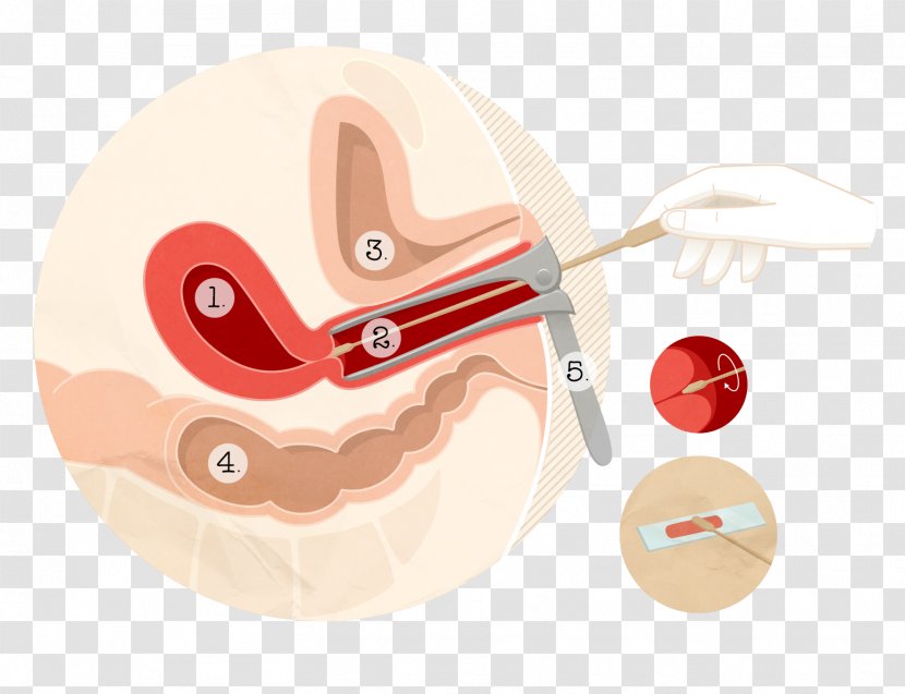 Product Design Illustration Cartoon Ear - Silhouette - HPV Transparent PNG