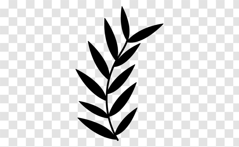 Black & White - Blackandwhite - M Plant Stem Flora Leaf Graphics Transparent PNG