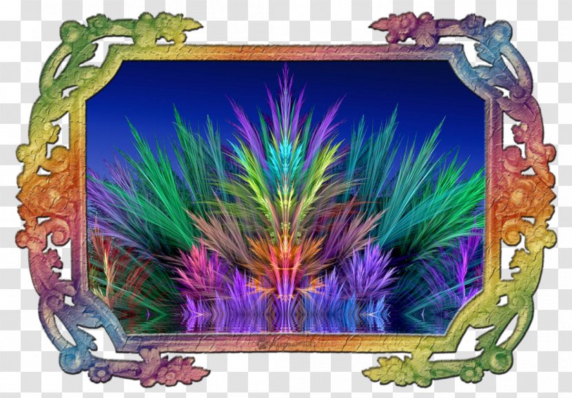 Picture Frames Feather Transparent PNG