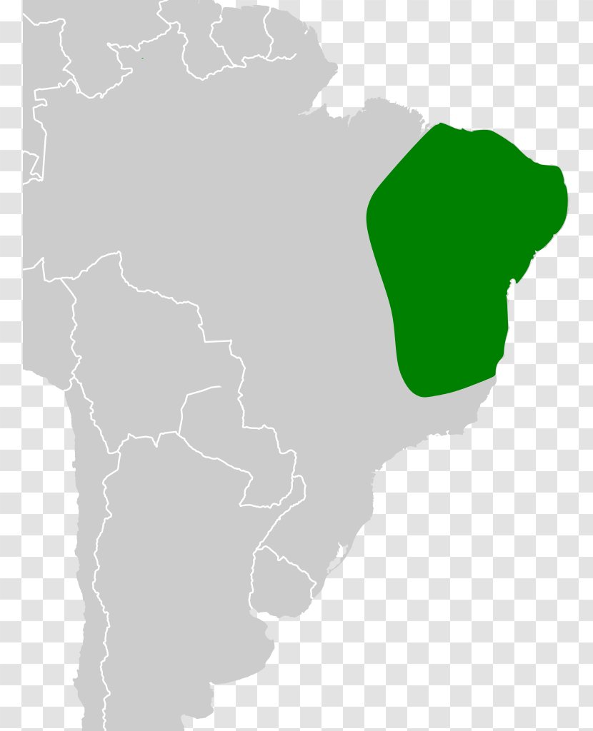 South America Green Map Tuberculosis Americas Transparent PNG