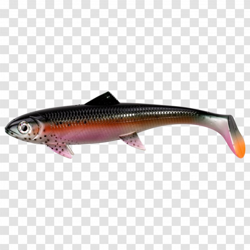 Fishing Baits & Lures Northern Pike Rainbow Trout Angling - Spin Transparent PNG
