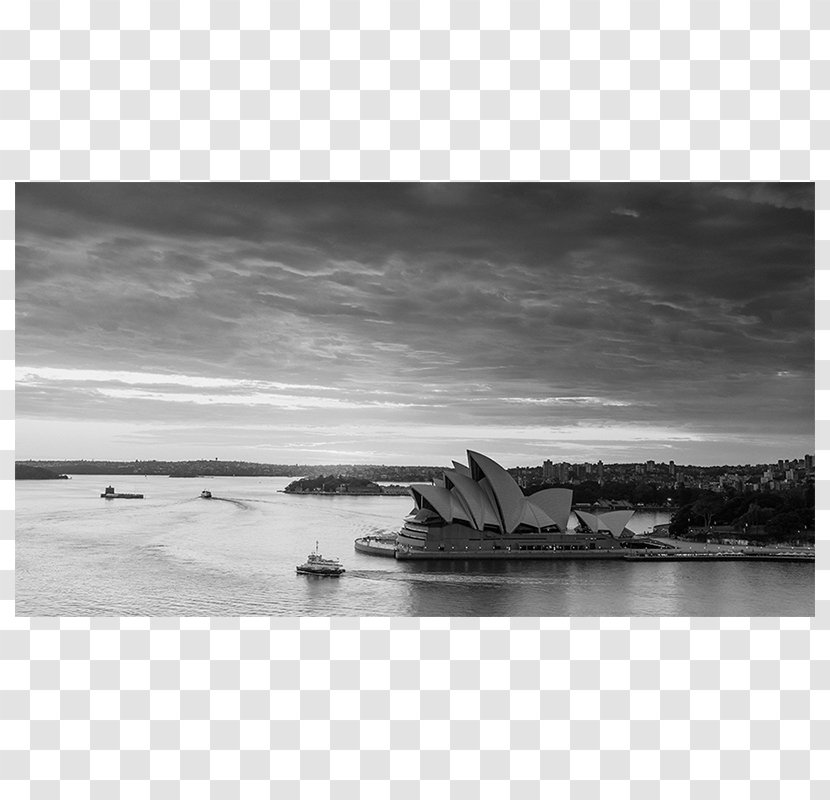 Black And White Port Jackson Sydney Opera House Circular Quay Photography - Drawing Transparent PNG