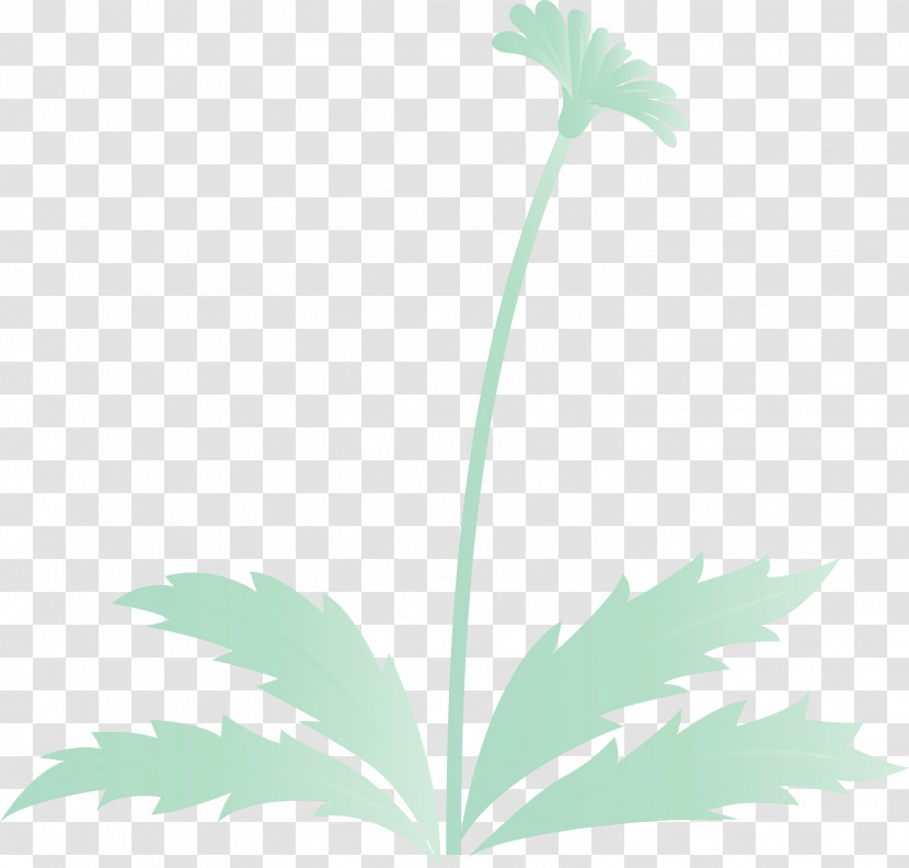 Leaf Flower Plant Plant Stem Tree Transparent PNG