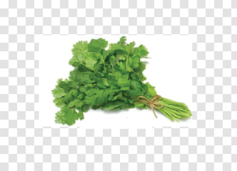 Coriander Herb Vegetable Food Pea Transparent PNG