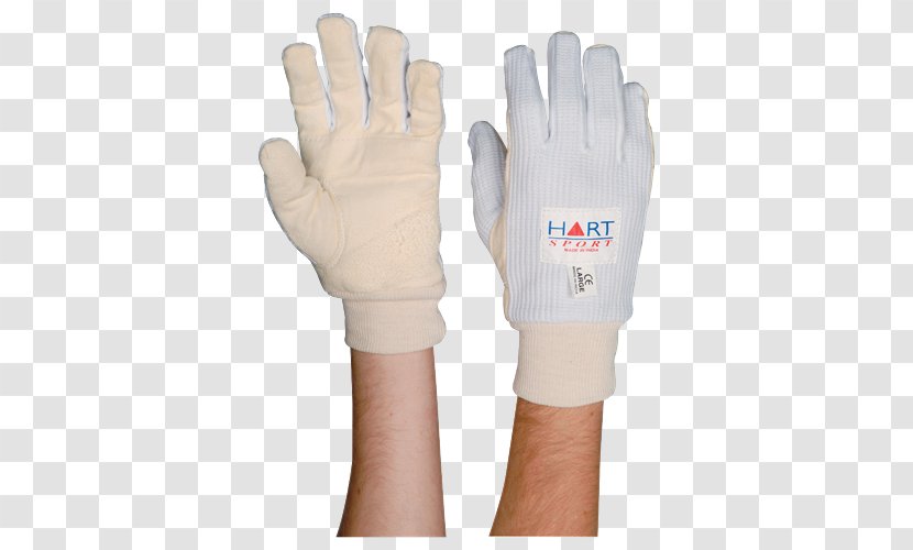 Wicket-keeper's Gloves Finger Chamois Leather - Wicket Transparent PNG