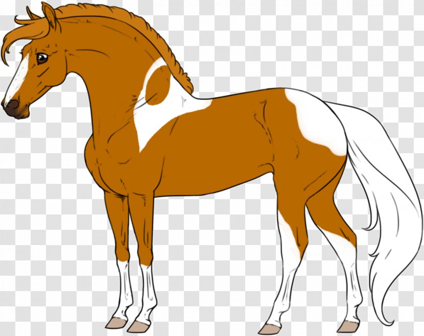 Foal Stallion Colt Mare Mustang - Mammal - Milky Way Transparent PNG