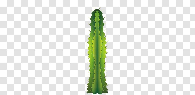 Green Angle Pattern - Cactus Transparent PNG