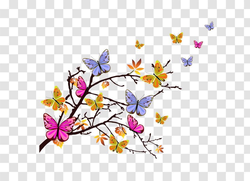 Butterfly Color Clip Art - Royaltyfree - Plantain Transparent PNG