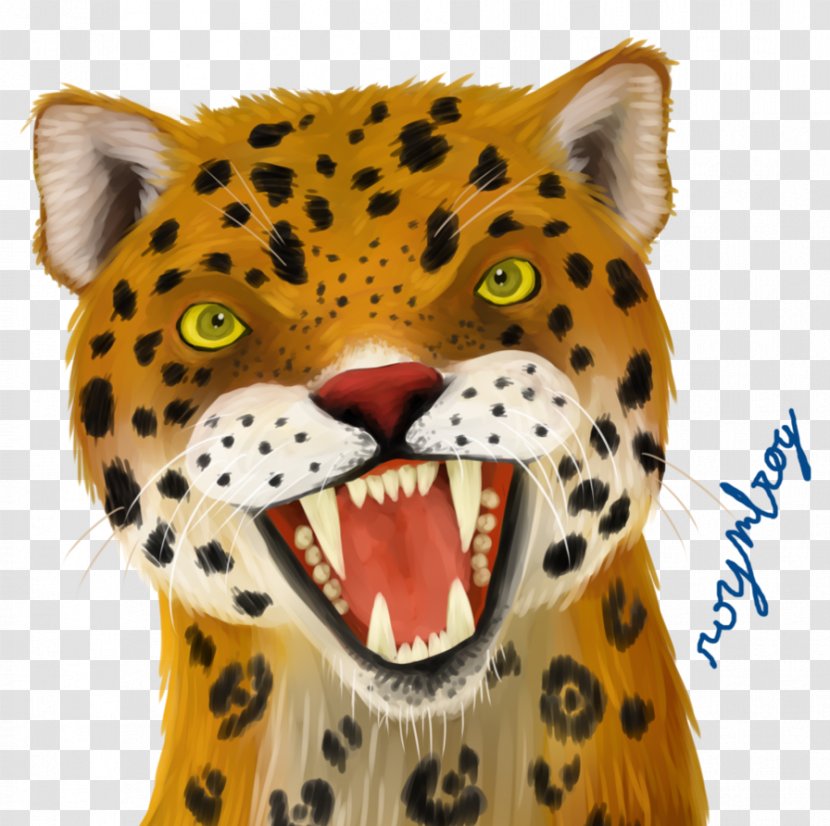 Leopard Cheetah Whiskers Snout SEPECAT Jaguar - Big Cats - Rainforest Transparent PNG