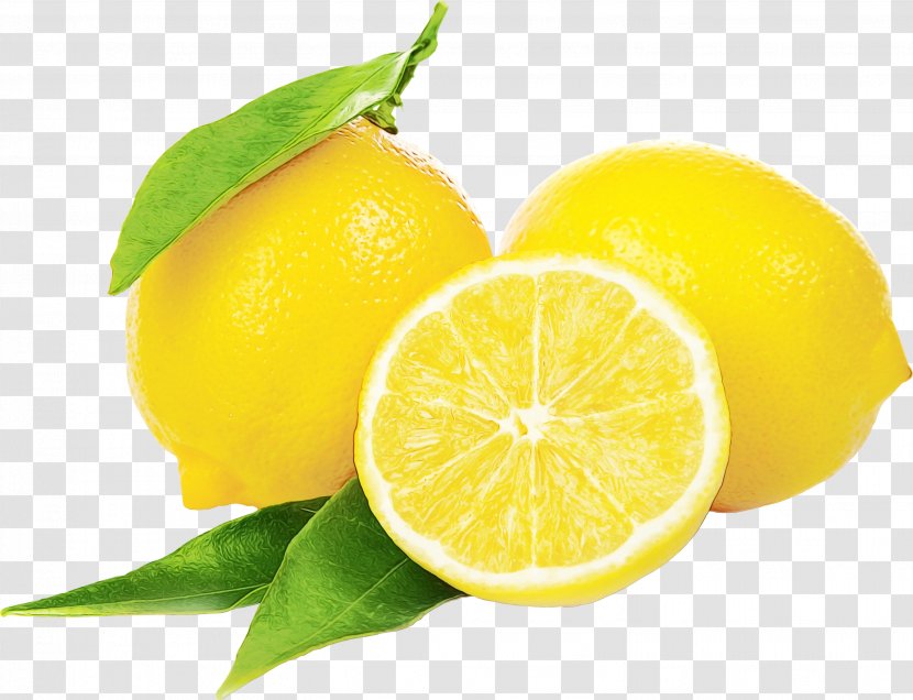 Lemon Citrus Persian Lime Fruit Natural Foods - Citric Acid - Sweet Transparent PNG