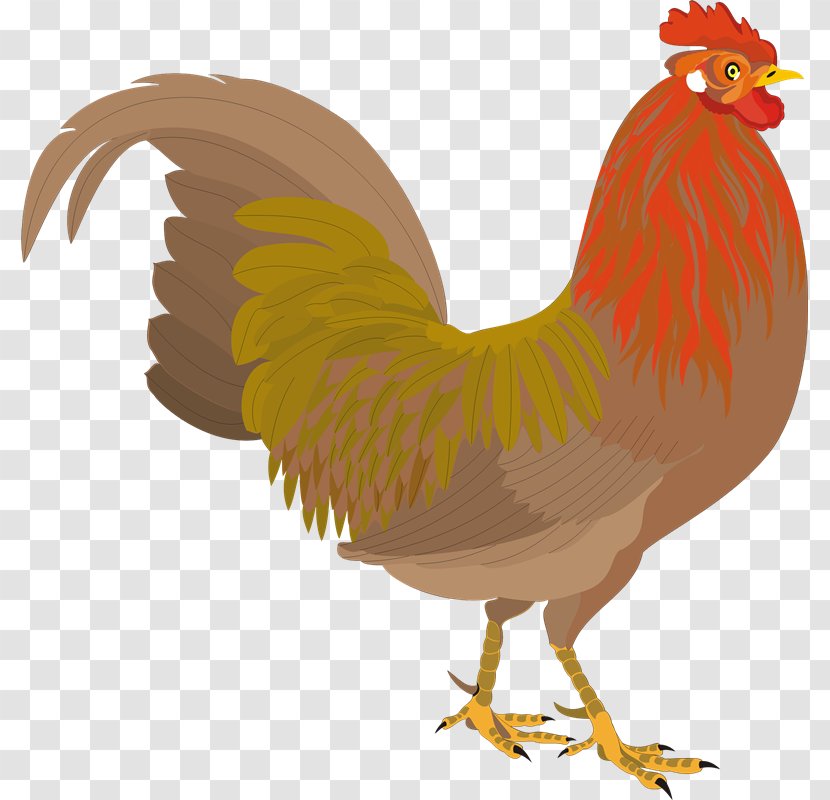 Chicken Rooster Paper Clip Art - Common Quail - Zr Transparent PNG